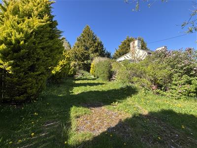 Picture 26